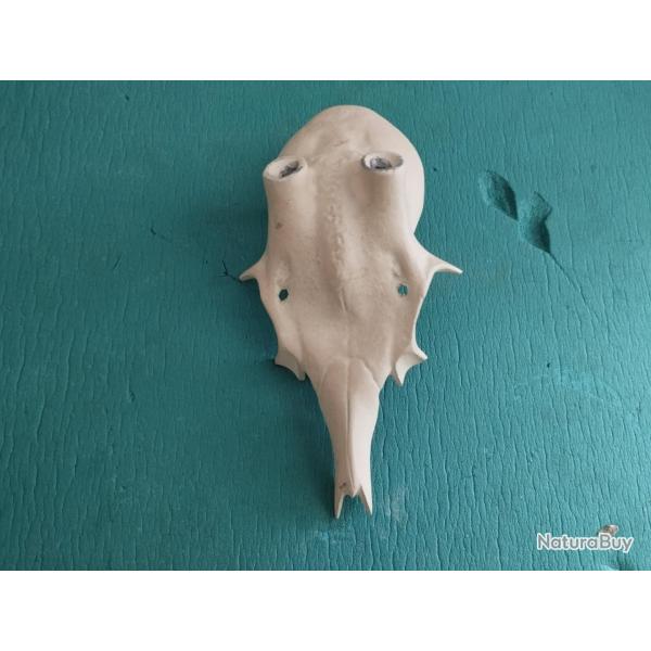 CRNE MASSACRE CHEVREUIL BROCARD METAL POUR POSE BOIS