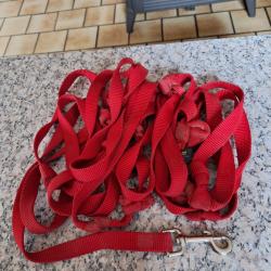 laisse pour gros chien