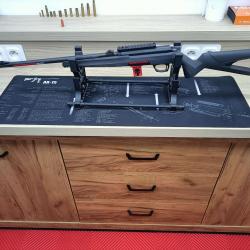 Winchester xpert 22 lr + RDS + BIPIED + accessoires + munitions