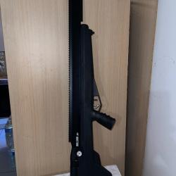 Carabine Benjamin Bulldog