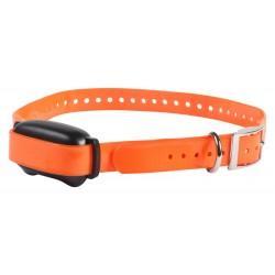 Collier De Dressage 600M ProHunt - LVC