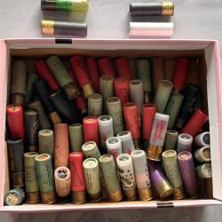 Collection munitions différents chargements calibre 16