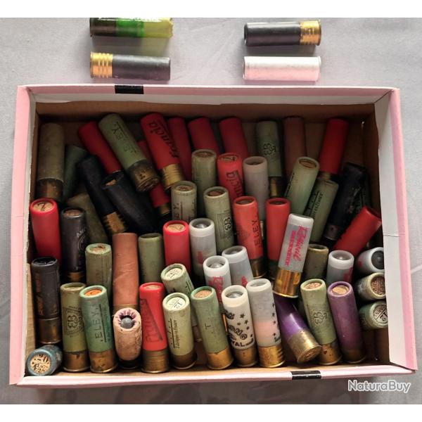 Collection munitions diffrents chargements calibre 16