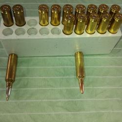 Munitions 270wsm