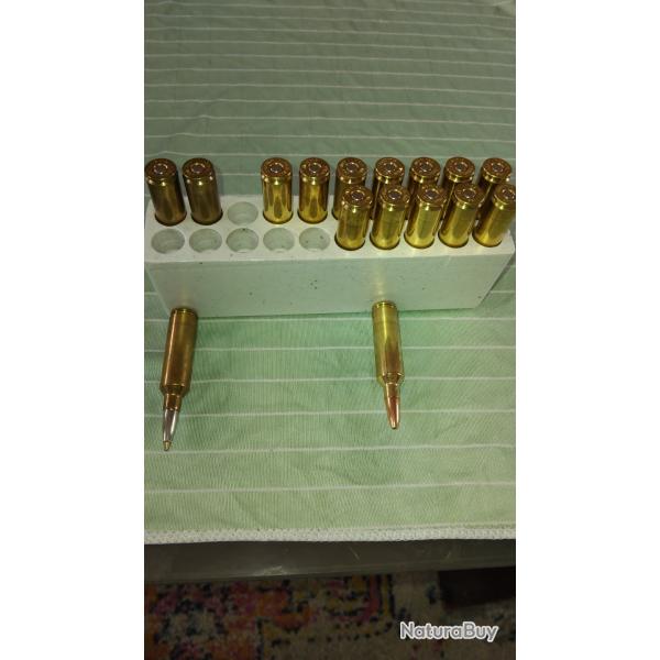 Munitions 270wsm
