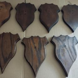 7 ECUSSONS BOIS POUR TROPHEES CHASSE CHEVREUIL CHAMOIS ISARD