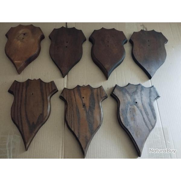 7 ECUSSONS BOIS POUR TROPHEES CHASSE CHEVREUIL CHAMOIS ISARD