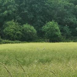 Action de chasse