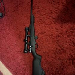 Escort 22lr