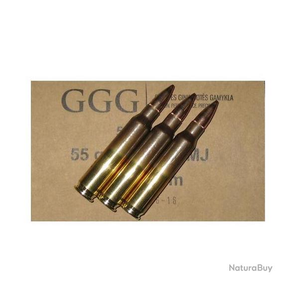 Munitions GGG 223 Rem FMJ 55gr x50