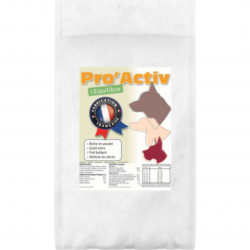 Croquettes Equilibre (25/10) - PRO ACTIV