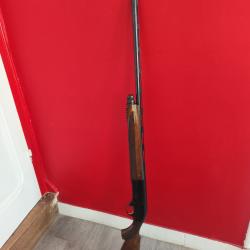 Beretta AL 391 urika
