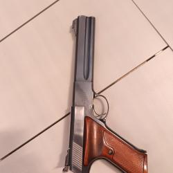 Colt Woodsman match target