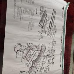 Notice affiche éclatée des pièces détachées Manufrance fusil falcor éjecteur