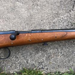 Carabine 22lr