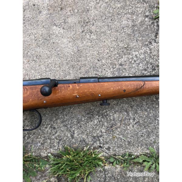 Carabine 22lr