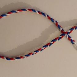FSSF fourragère us WW2