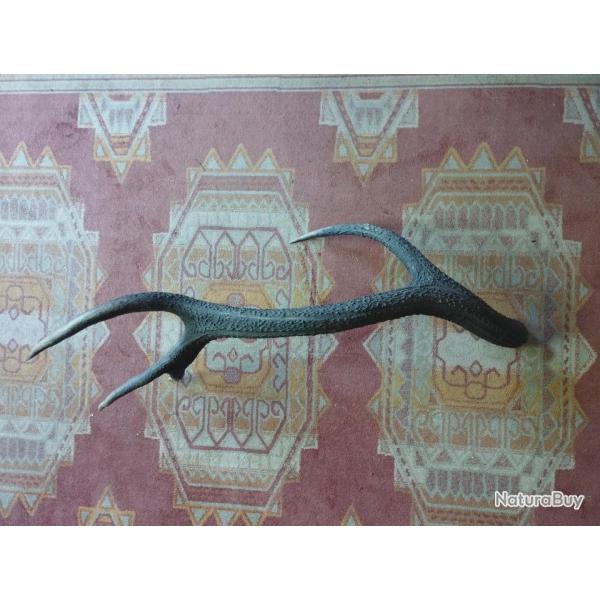 BOIS DE CERF 74CM