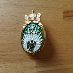 Insigne 13 rdp