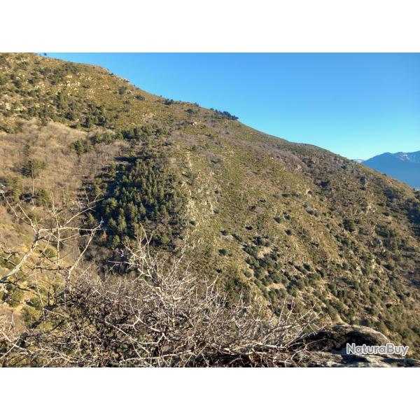 Local de chasse a vendre