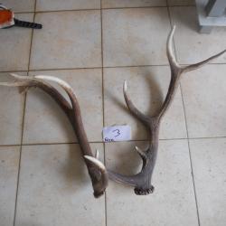 bois de cerf vente de 8 lots de 2 bois pour un poids total de 9,9 kilo environ