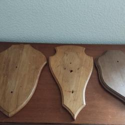 3 ECUSSONS GRANDES DIMENSIONS 41X29 42X23 33X22CM TROPHEES CHASSE CERF MOUFLON ANTILOPE BUFFLE