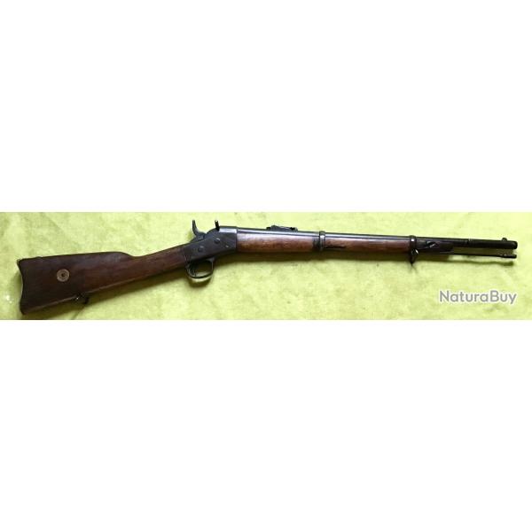 CARABINE REMINGTON ROLLING BLOCK model CARABINE