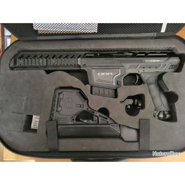 Vente lanceur paintball Dye Dam complet