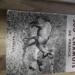 Sur les traces de mes 500 chamois