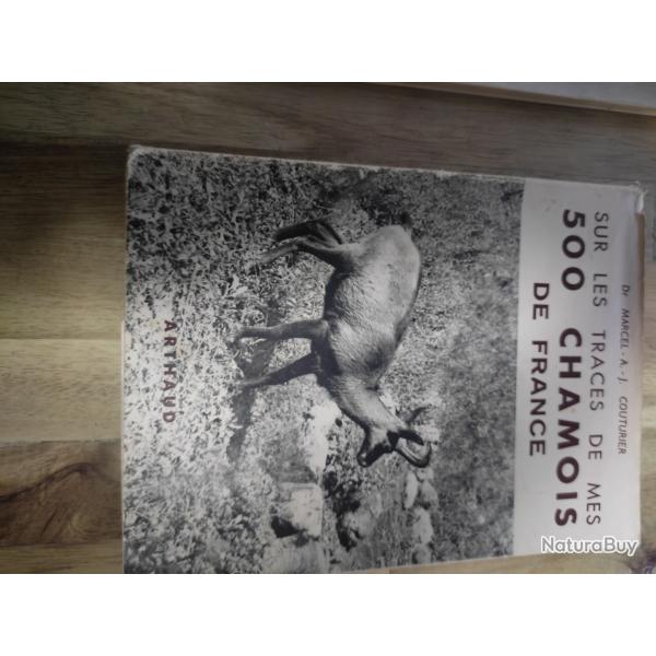 Sur les traces de mes 500 chamois