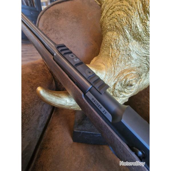 Rail Picatinny Mauser M25