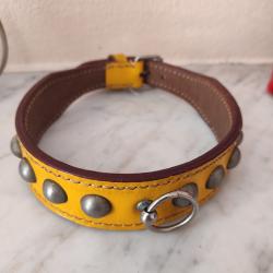 Ancien collier chien cuir   jaune moutarde tour cou maxi 43 cm cuir épais de qualité