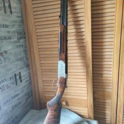 Sagittaire becassier avec un interchok en haut