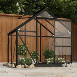 Serre en verre Anthracite 155x103x191 cm Aluminium