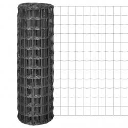 Clôture Euro Acier 25 x 1,2 m Gris