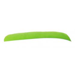 BUCK TRAIL - Plumes Naturelles Entières LH LEMON GREEN