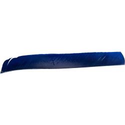 BUCK TRAIL - Plumes Naturelles Entières LH NAVY BLUE