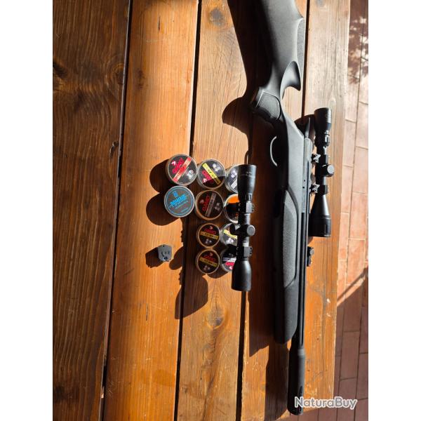pack carabine pcp gamo arrow + compresseur