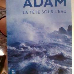 La tete sous l'eau par Olivier Adam - Pocket -