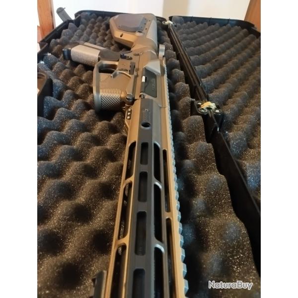 Hera ar15 catgorie C