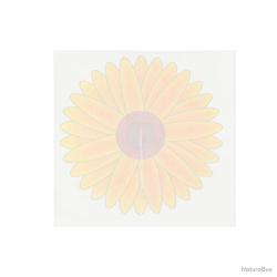 4 Pièges à mouche adhésif sans produits chimiques 9,5 x9,5cm