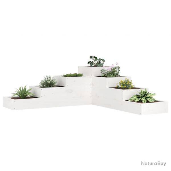 Jardinire 4 niveaux 106x104,5x36 cm blanc bois de pin massif