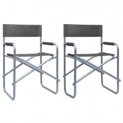 Chaises de metteur en scène lot de 2 Acier Gris