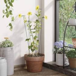 Piquets pour plantes de jardin 20 pcs vert foncé 61 cm acier