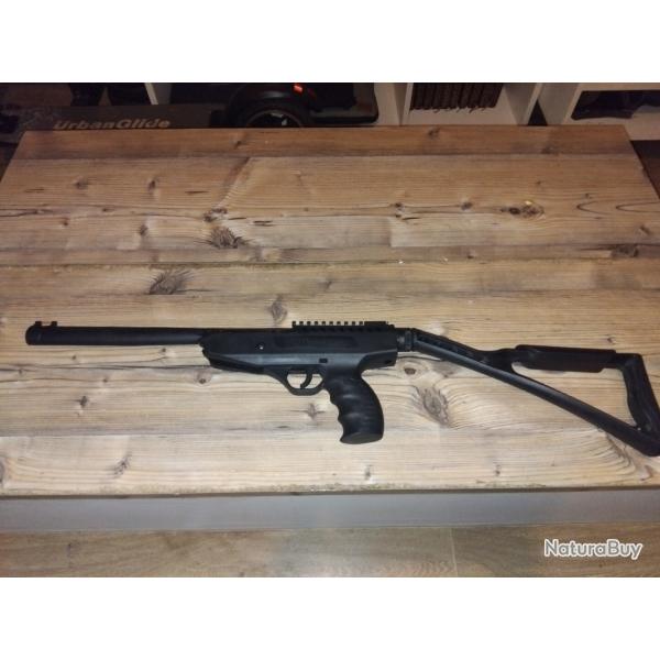 Carabine 17 Joules + 3 botes de plombs