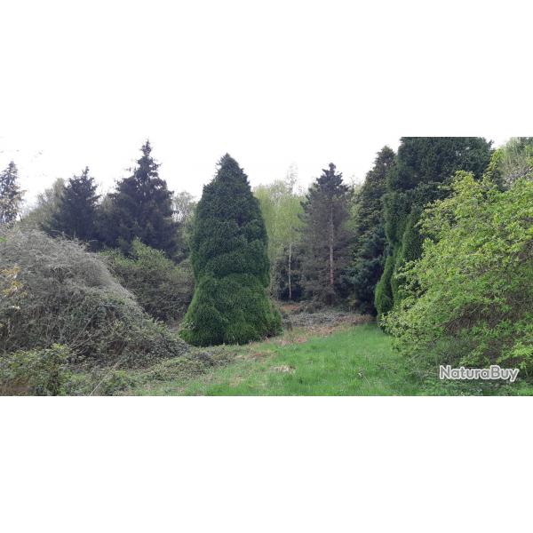 Terrain de wee kend avec chalet ,