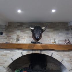 Tête de taureau camargais