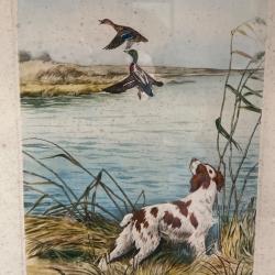 Lithographie originale Riab. Épagneul aux canards