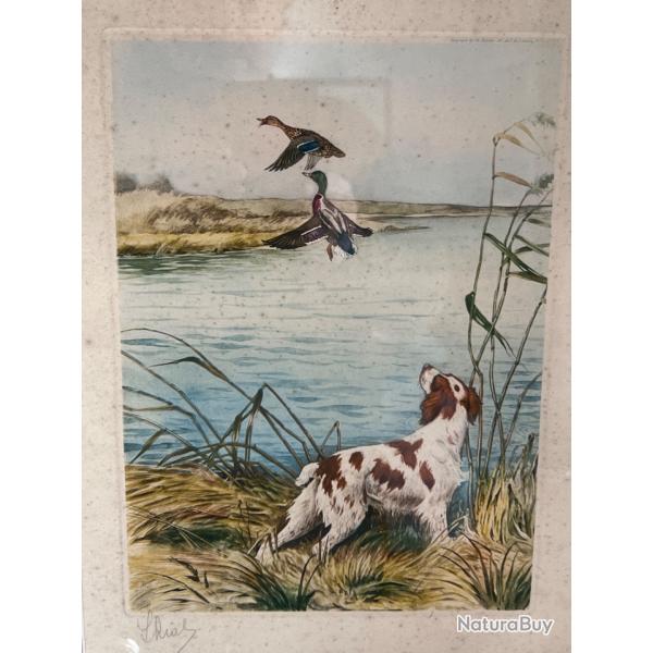 Lithographie originale Riab. pagneul aux canards