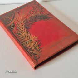 livre 1900-15, Récit forestier, par Ruault de Champglin, librairie d'éducation de la jeunesse
